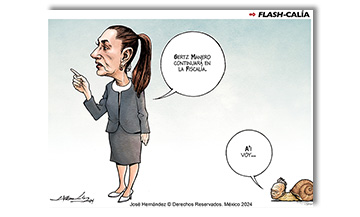 Flashcalía
